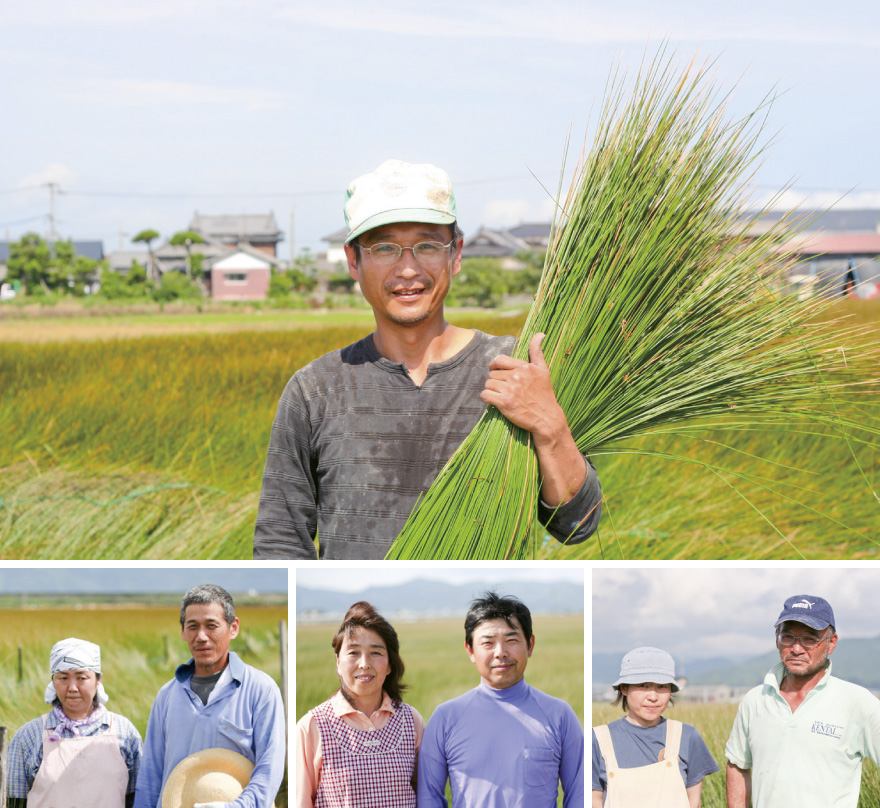 「い草」の品質の違い　イメージ